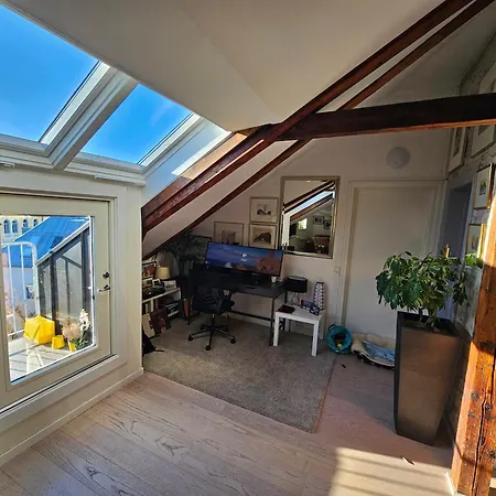 Super 2 Story Penthouse, 3 Bedroom 104m2 Appartement Oslo